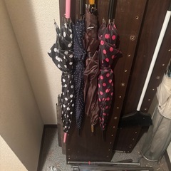 【10/21まで】靴箱2種類の画像