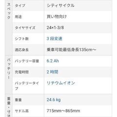 ブリジストン　アシスタファイン24インチ　グリーンの画像