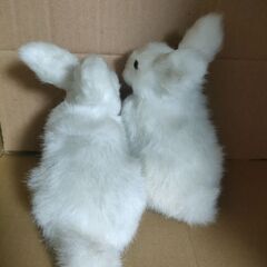 【10/31まで】うさぎの置物（汚れアリ）の画像