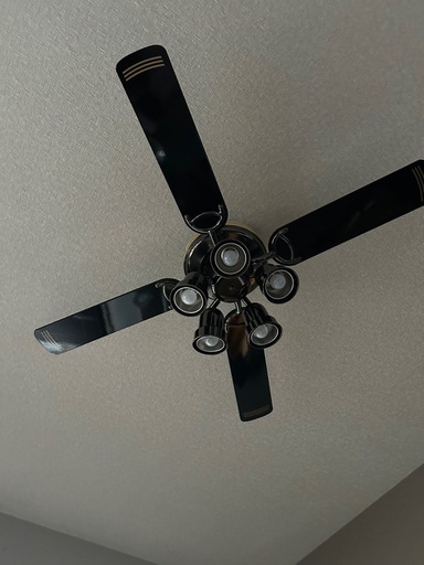 美品　ブラック　シーリングファン　2セット　電球全部付いてます！