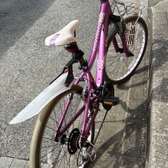GIANT Liv 子供自転車 あらいとアライト24インチ すぐすぐ乗れますのれますの画像