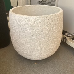 【鉢】8号 ボサ造り エコストーンwhite 付きの画像