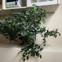 ⭐︎無料⭐︎インテリア植物　造花　草木　植木鉢の画像