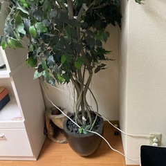 ⭐︎無料⭐︎インテリア植物　造花　草木　植木鉢の画像