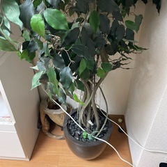 ⭐︎無料⭐︎インテリア植物　造花　草木　植木鉢の画像