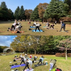 秋の紅葉パークヨガ in 代々木公園の画像