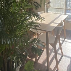IKEA ダイニングテーブル・椅子(2脚))　の画像