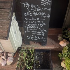 わけぎ苗ポット・春菊苗ポット
の画像