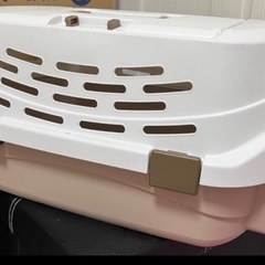 猫　キャリー　Sサイズの画像