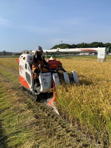 【取引中】
令和6年産ヒノヒカリ玄米30kg
