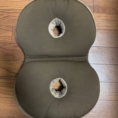 クッション　座椅子の画像