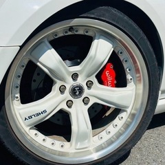 て145フォード　マスタング　シェルビーの画像