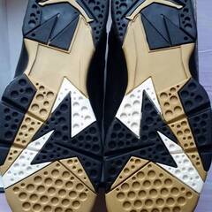 《観賞用？？》値下げ！Air Jordan 7 GMP 304775-030(US10)の画像