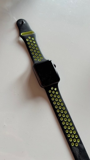 【取引者決定】純正 Applewatch 
充電付き