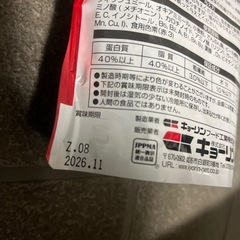 熱帯魚の画像