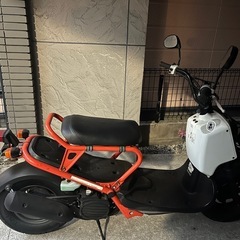 ズーマー　バイク　実働車　低走行の画像