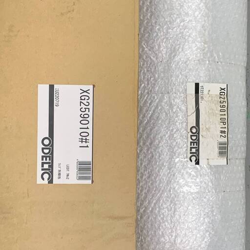 BY☆2 ODELIC LED街路灯 昼白色 白熱灯60W×2灯クラス XG259-010 ポール付 ※LED電球別売 ※店頭引取限定