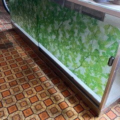 ⭐️ショーケース⭐️の画像