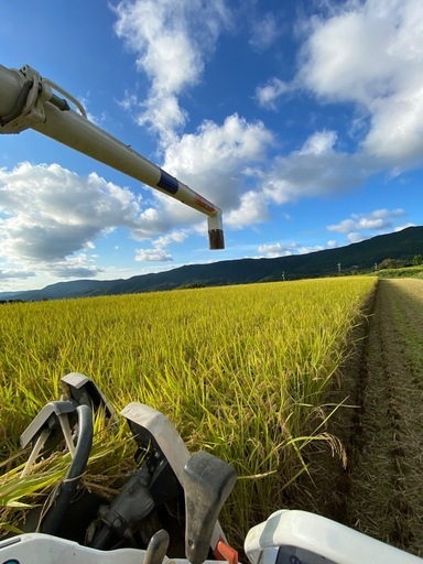 受付終了！2025年度産　なつほのか　新米　玄米　30kg