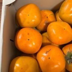 早い物勝ち！和歌県産　柿【24個】の画像