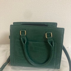 ⑤バック　グリーンの画像