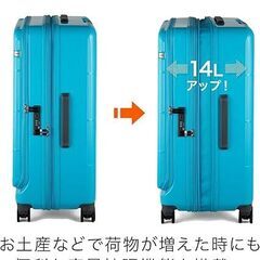 ACE キャリーケース ディフェレンス No.05724（ホワイト・XX-Large）未使用品の画像
