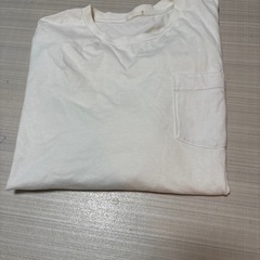 白長袖ですの画像