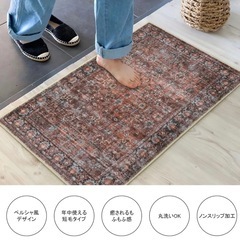 ペルシャ風絨毯 玄関マット 絨毯の画像