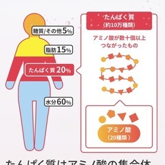 味の素アミノバイタル アミノ活 朝のライチ味 24個セットの画像