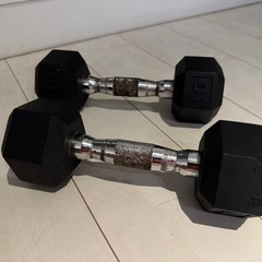 ヘックスダンベル 4.5kg ペアの画像