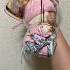 ラブブ　CCの画像