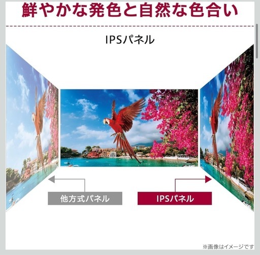 LG モニター 25MS500-B 24.5インチ