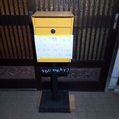 キウイの取り放題!!!の画像