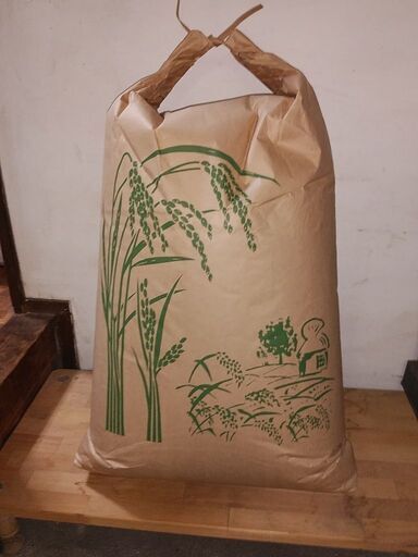 令和7年産 コシヒカリ 玄米 30kg