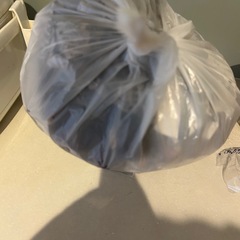 今年初山栗！の画像
