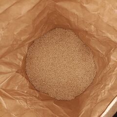 令和7年産 コシヒカリ 玄米 30kgの画像