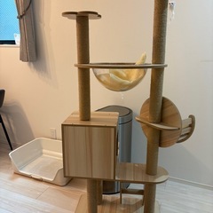 キャットタワーの画像