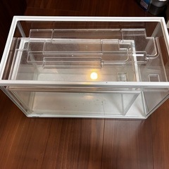 GEX水槽の画像