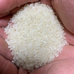 新米令和7年産農薬不使用玄米の画像