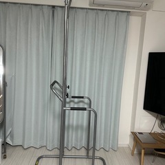 ぶら下がり健康器具の画像