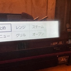 ビストロスチームオーブン電子レンジ パナソニック レッドの画像