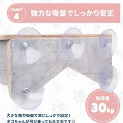 猫 窓用ハンモック キャットステップの画像