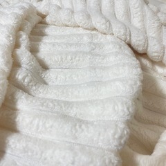 もこもこシングル毛布（アイボリー）の画像
