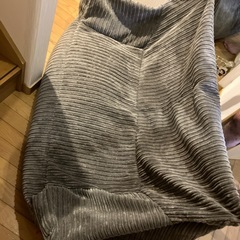 ラウンジパグビーズソファの画像