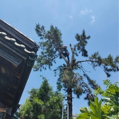 造園　草刈り伐採など