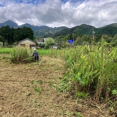 造園　草刈り伐採などの画像