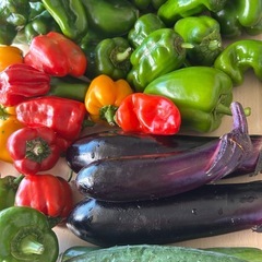 生活困窮者0円     有機野菜いろいろ オーガニック の画像