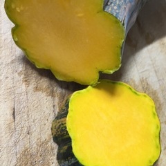 生活困窮者0円     有機野菜いろいろ オーガニック の画像
