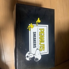 スヌーピースニーカーの画像