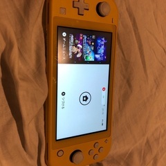 スイッチライトの画像